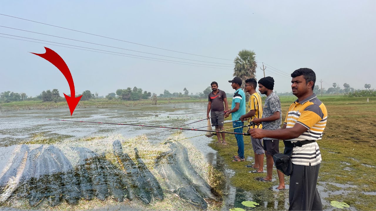 Amazing live snakehead fishing New fishing rod  తో కొర్రమేను చేపలు పొట్టు పొట్టు పట్టినం మామ bros