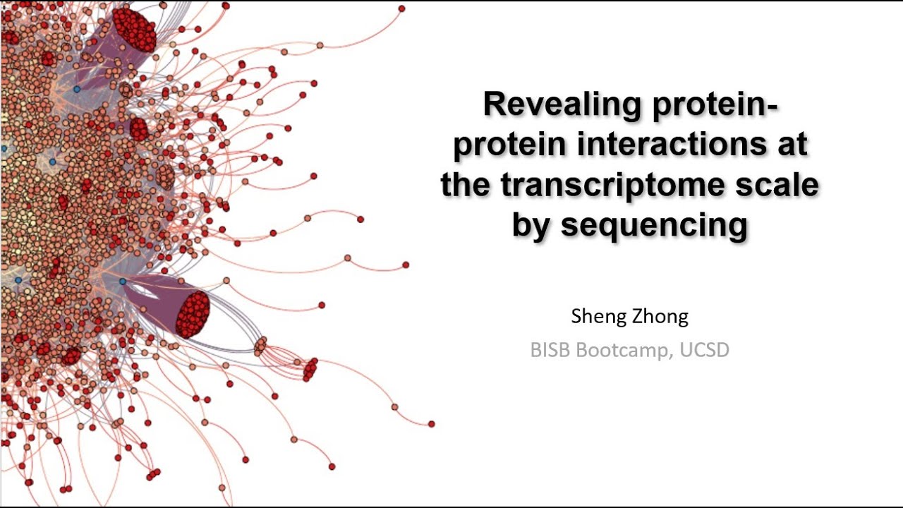 PROPER-seq: identifying protein-protein interactions by sequencing