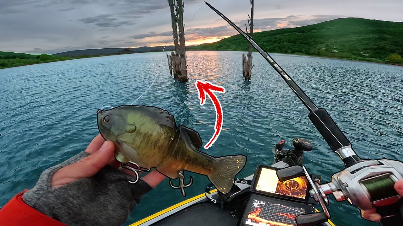 Ce nouveau lac cache-t-il un Gros Brochet ? Je me fait surprendre en suivant les conseils du guide !