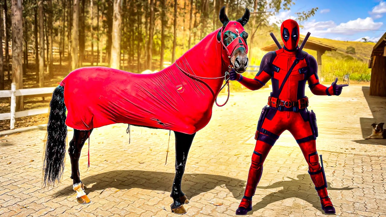 SUPER HERÓI do MANGALARGA MARCHADOR