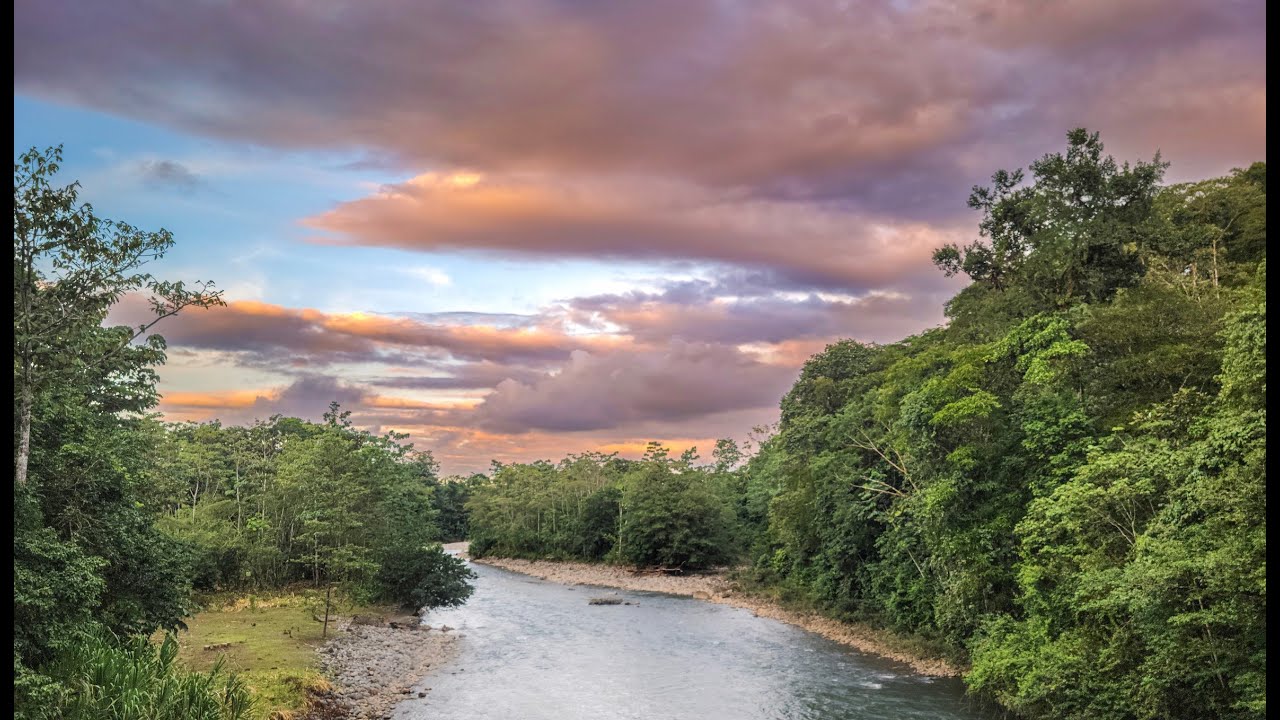 Welcome to Selva Verde Lodge & Reserve