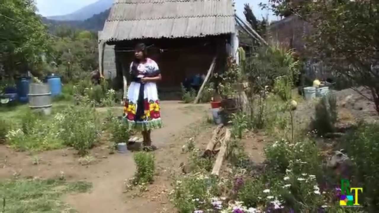 pirekua (XALI KAMATA) video official de Los 4 Alegres