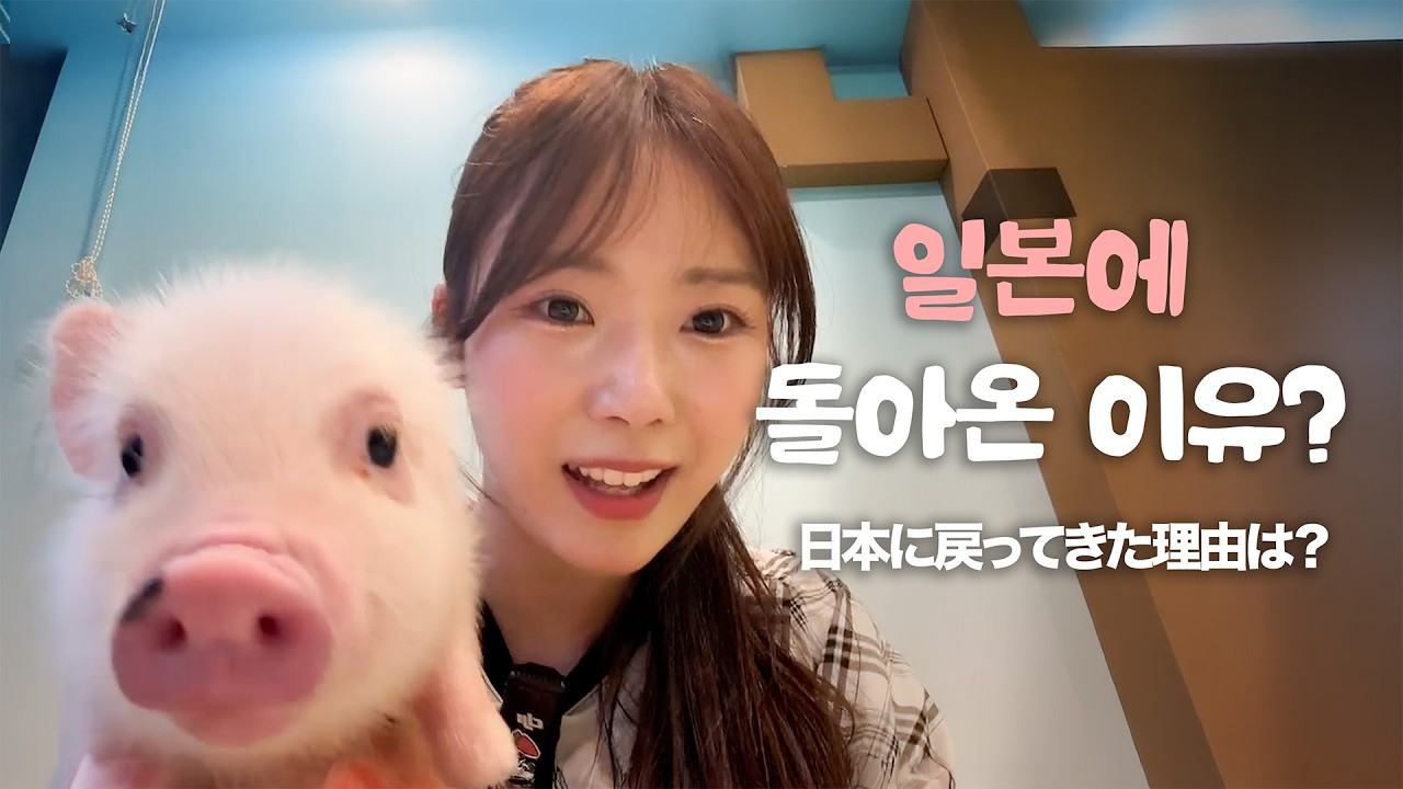 돼지카페에 아야카가 떴다! 그리고&hellip;🐷🐶 l アヤカが豚カフェに登場！そして&hellip;🐷🐶 Vlog