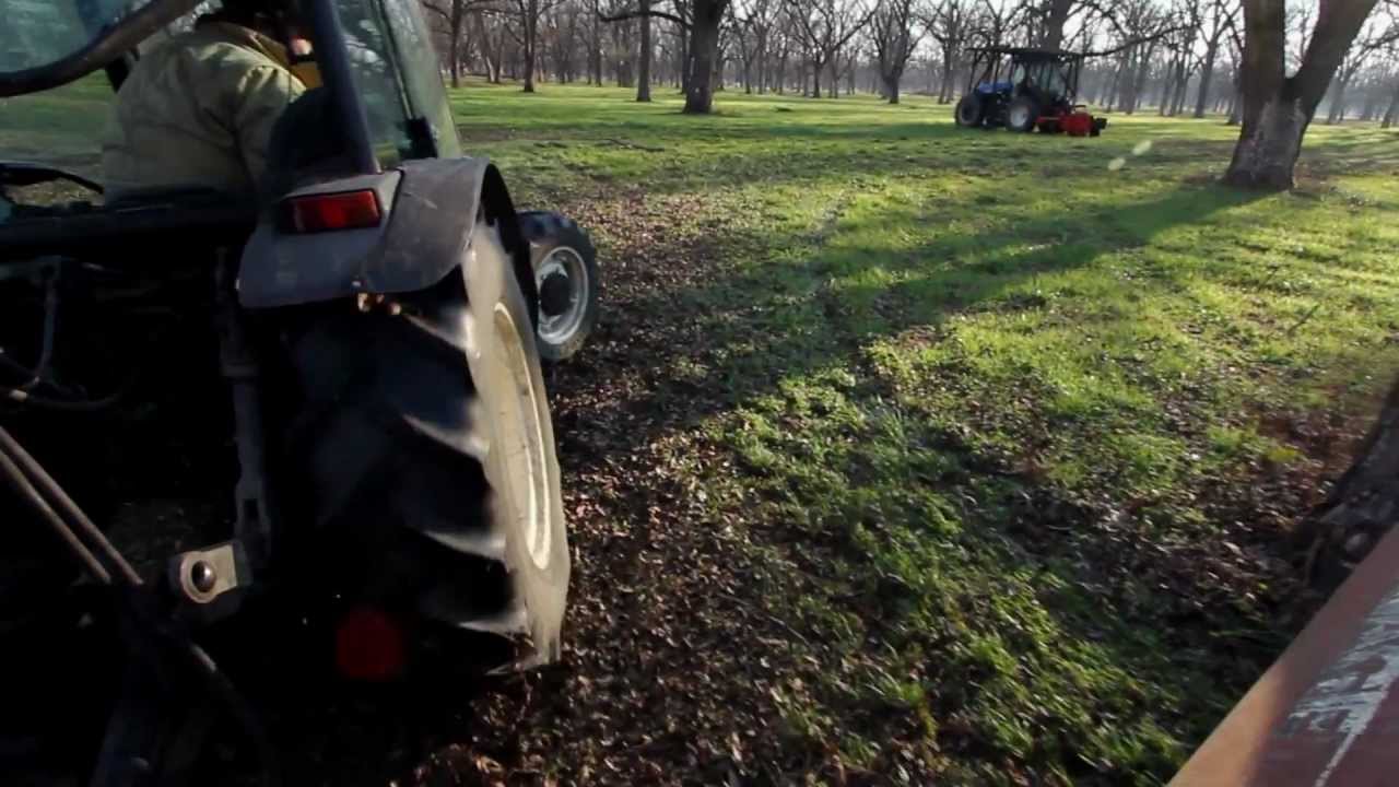 Pecan harvest, processing and retail at Flying G Ranch in Oklahoma