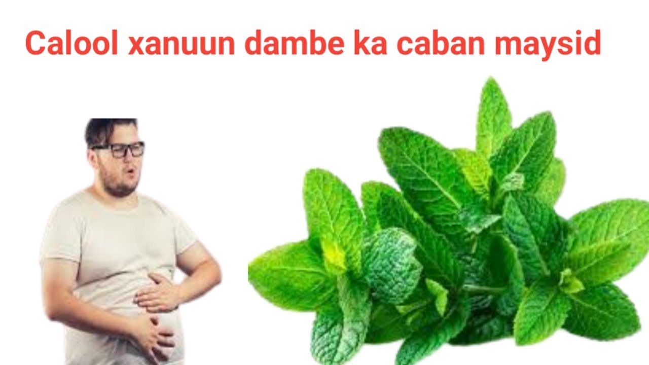 Casiraaad , lalabo  iyo calool xanuun dambe kama caban doontid hada  kadib samee arimahan