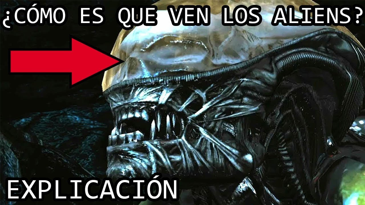 &iquest;C&oacute;mo es que Ven los Aliens? EXPLICACI&Oacute;N | La Vision y Sentidos de los Xenomorfos EXPLICADOS
