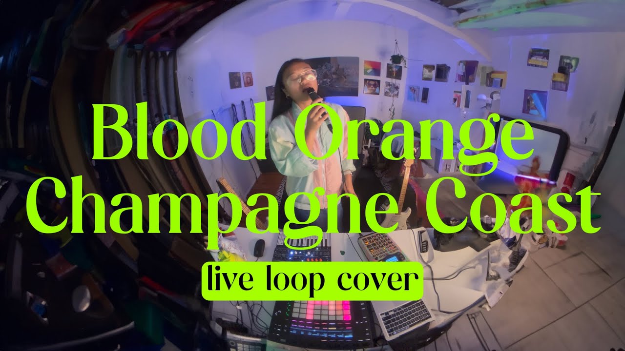 Blood Orange - Champagne Coast (live loop cover)