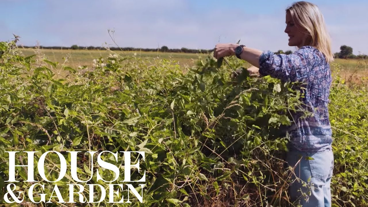 How to create a wild flower arrangement | House & Garden