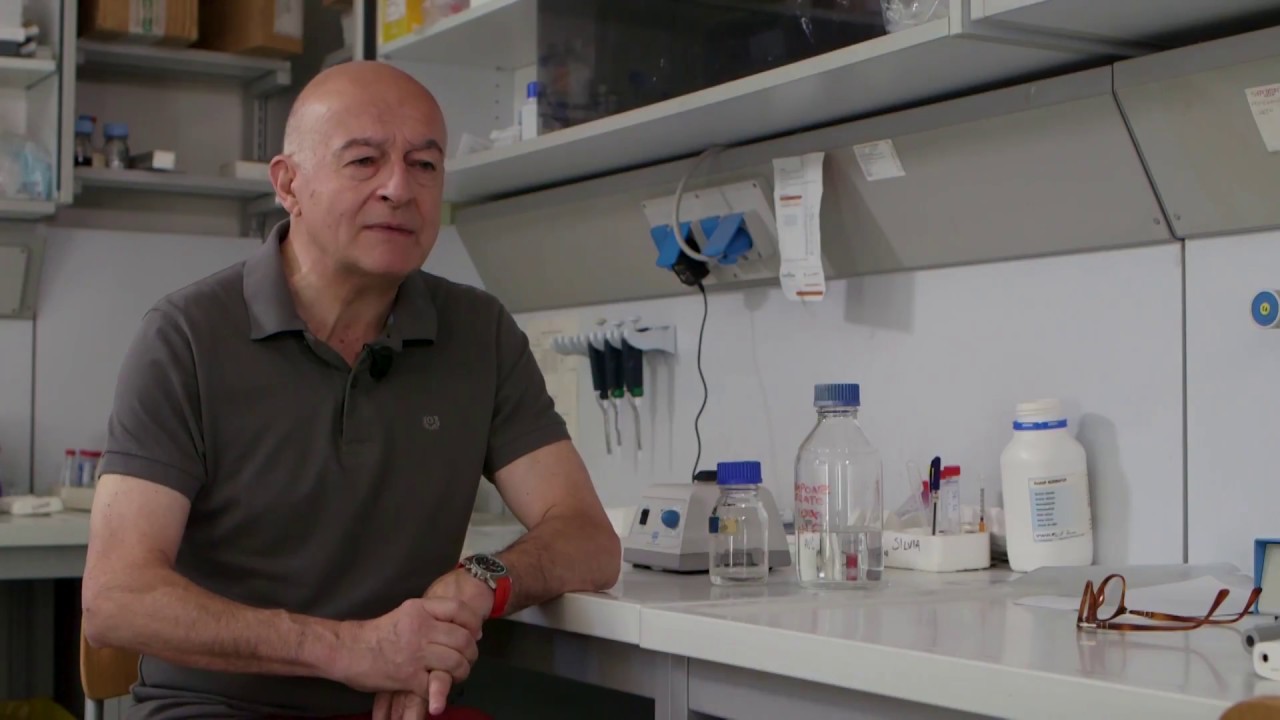 Chronic Myeloid Leukaemia: new perspectives to prevent relapse of disease