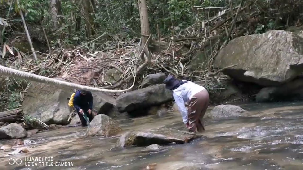Solo Hiking Sungai Chiling Fish Sanctuary #v149