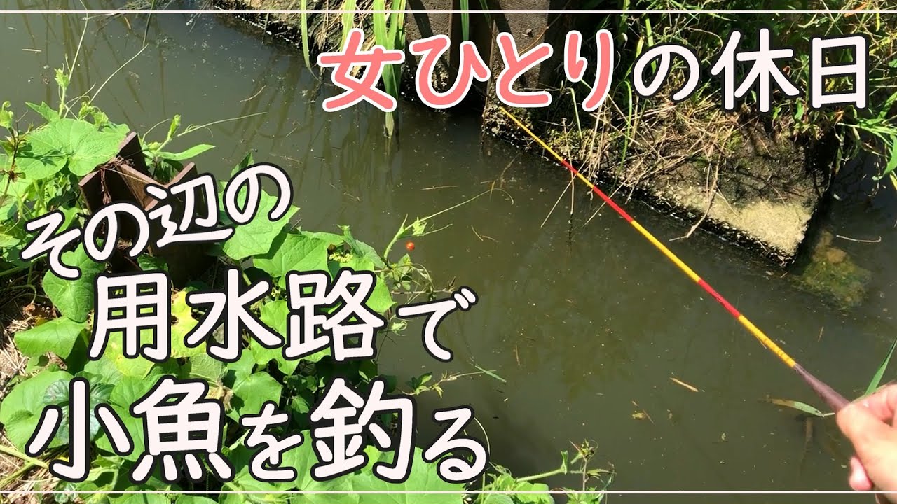 【小物釣り】用水路で女ひとり小魚を釣る / micro fishing
