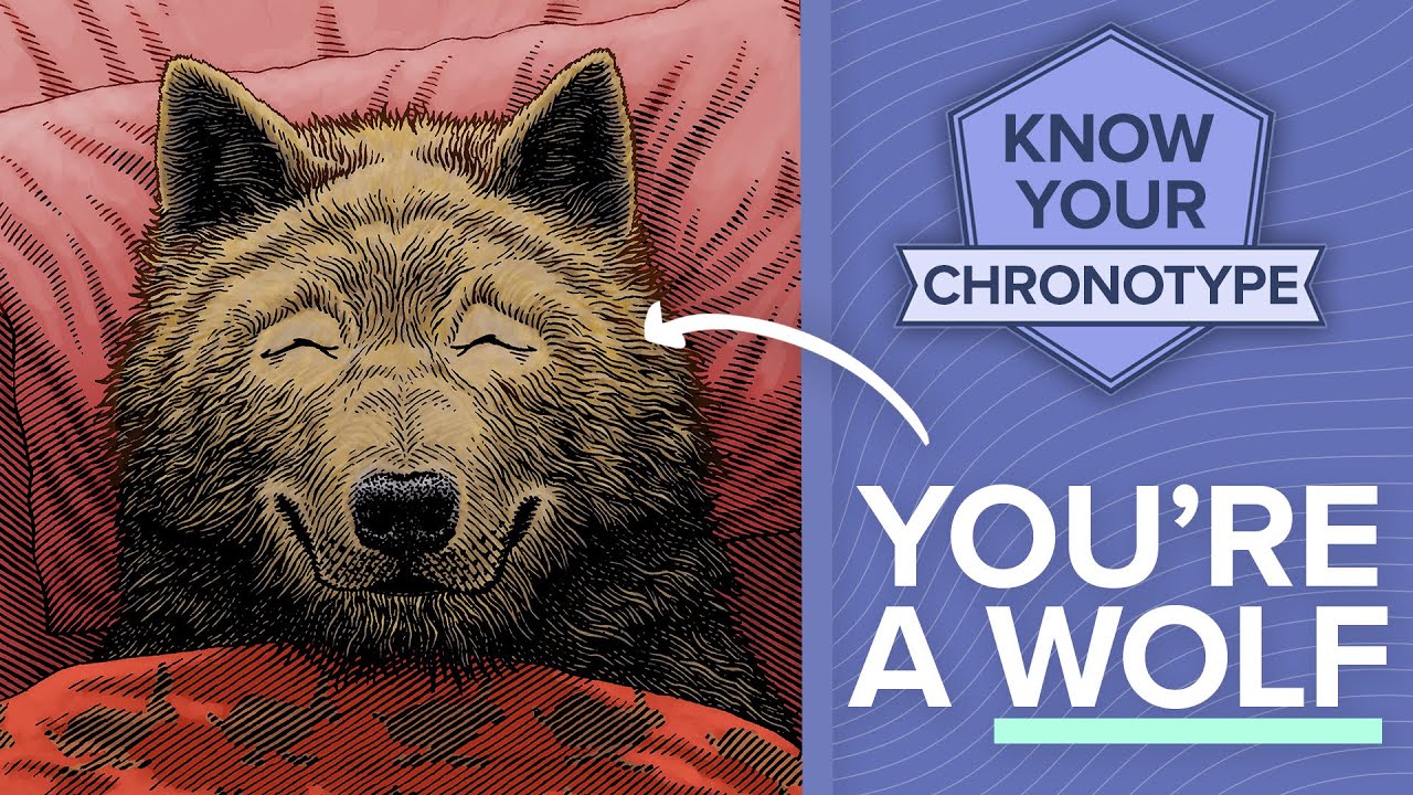 Wolf chronotypes NEED to stop making this same mistake