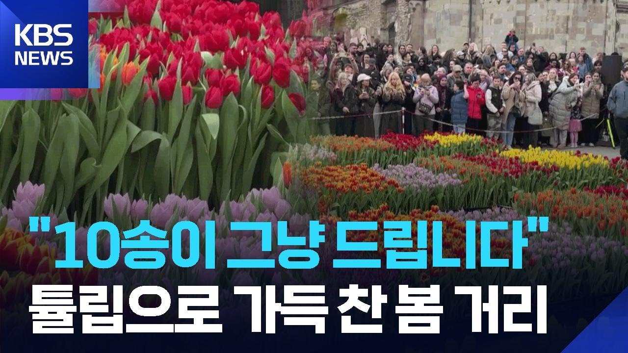 [글로벌K] 독일, 베를린에 핀 5만 송이 튤립 ‘무료 꽃 잔치’ / KBS  2026.03.20.