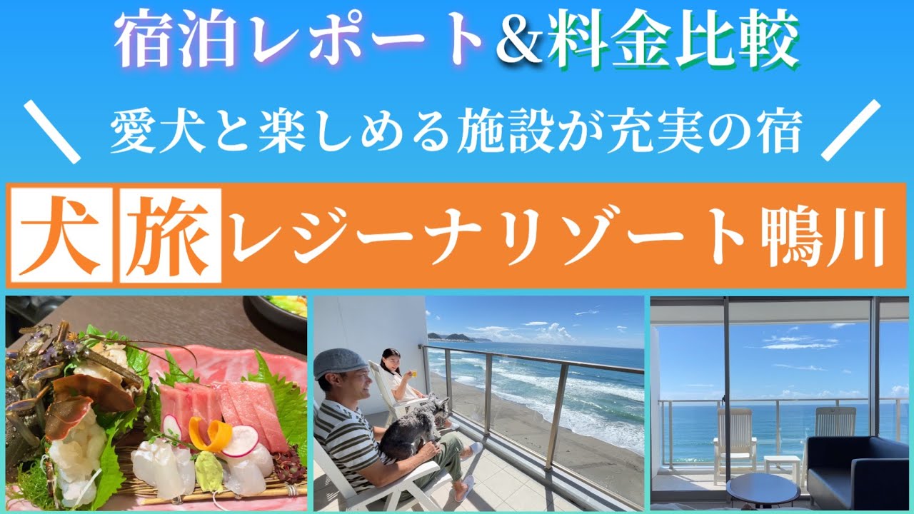 【レジーナリゾート鴨川｜千葉県】東京から1時間半、全室オーシャンビューの愛犬と行けるリゾートホテル。ルームツアーから料金比較、お料理などについて詳しくレポートしています