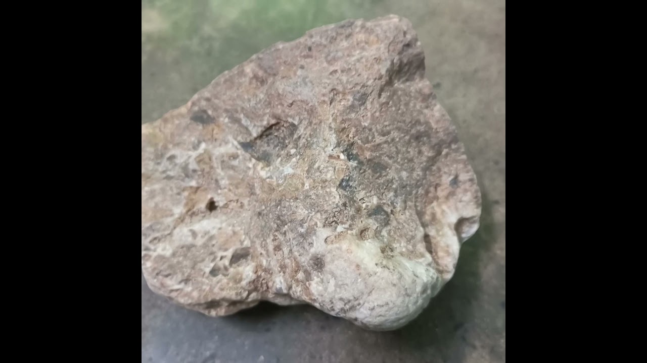 METEORITE COLLECTOR.