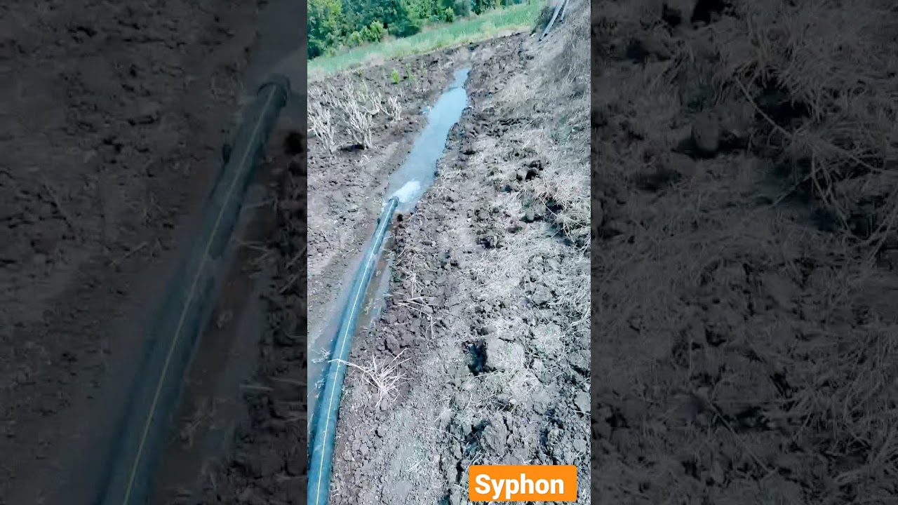 Syphon techniques