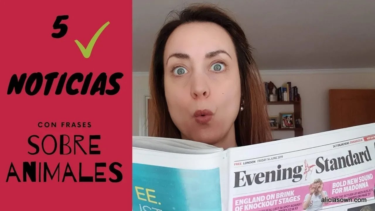 APRENDIENDO INGLÉS 5 5 FRASES SOBRE ANIMALES QUE APARECEN EN LAS NOTICIAS - #APRENDIENDOINGLES 💼🐰🦝🐮🐶