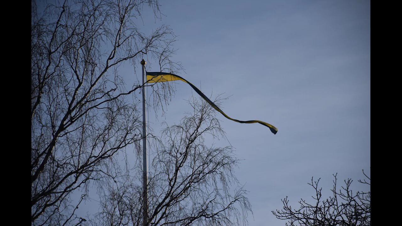 Vinterpromenad 2026-01-31