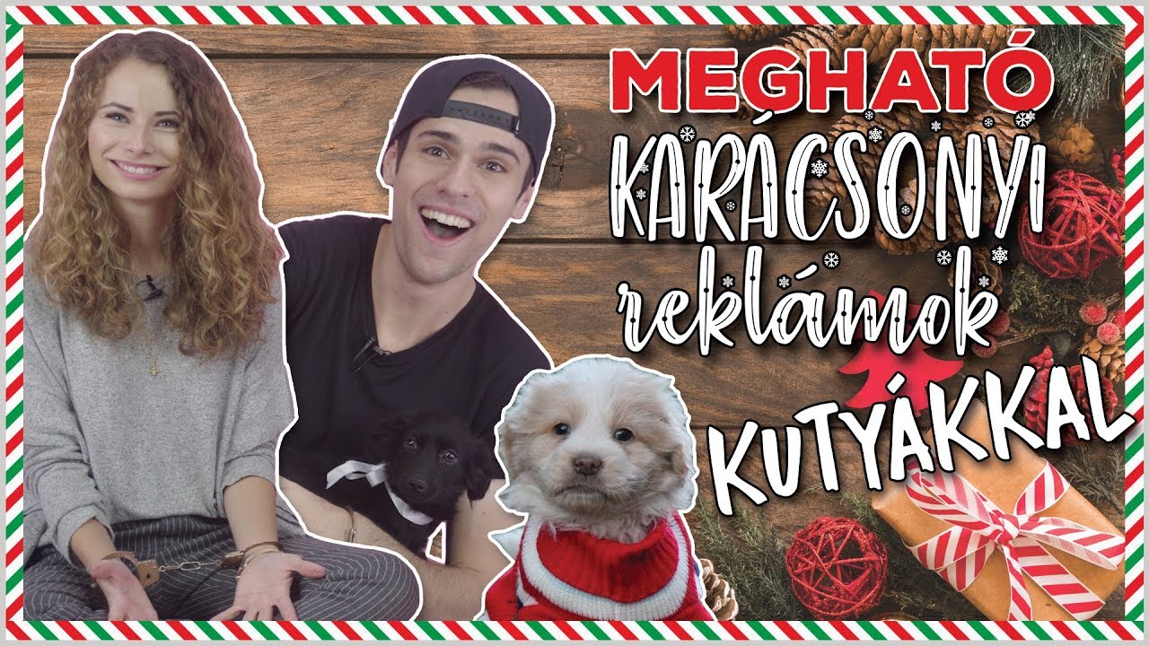 YOUTUBEREK VS. KUTYÁS KARÁCSONY
