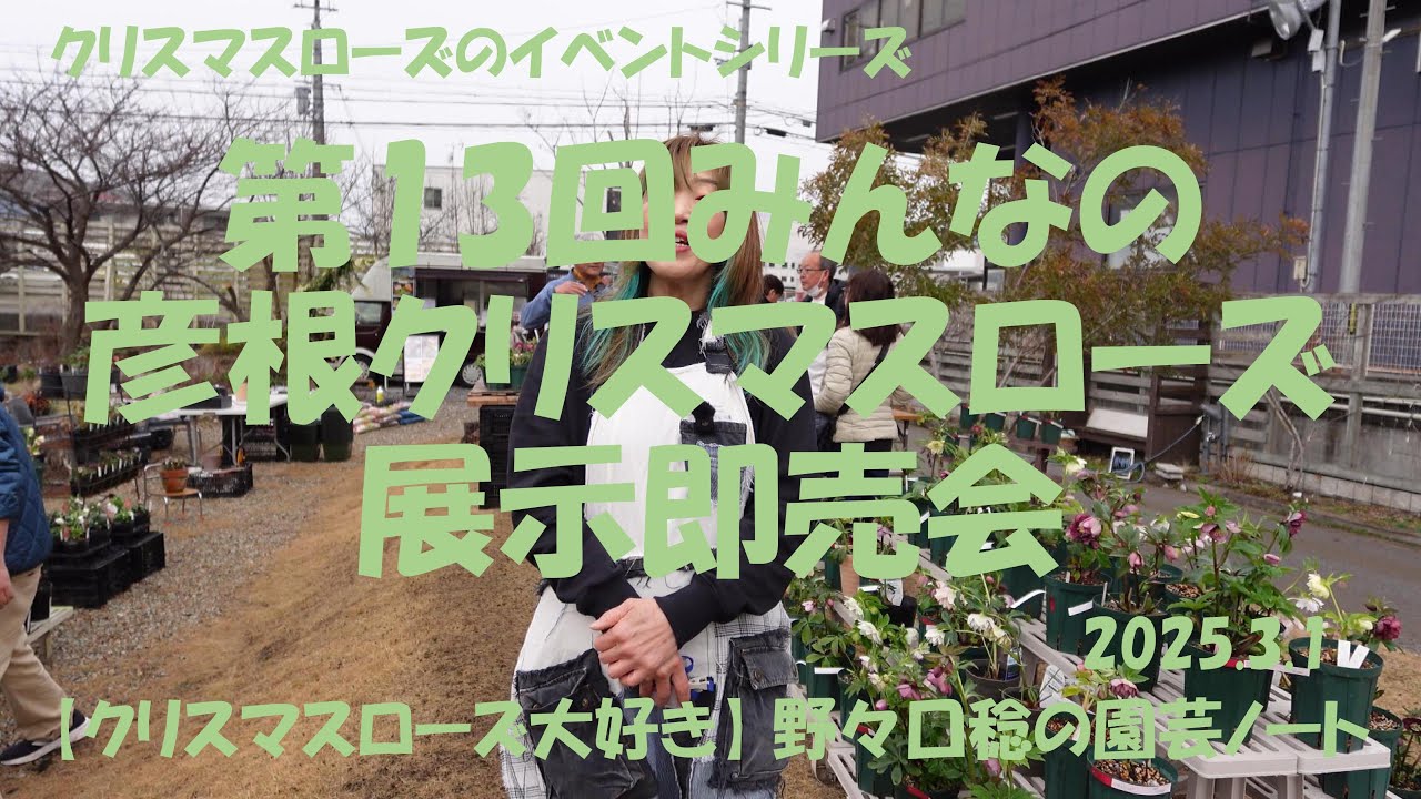 2025.3.1 第13回みんなの彦根クリスマスローズ展示即売会