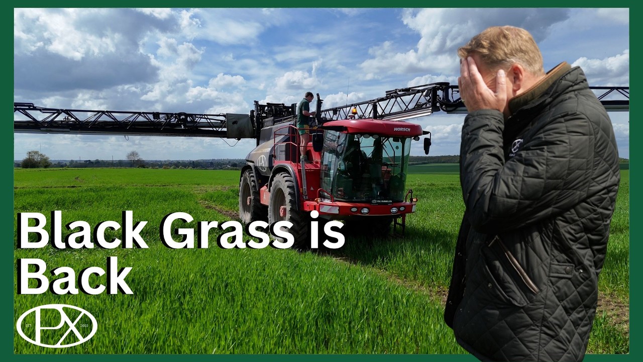 Tissue Test, Black Grass Returns & Broken Sprayers at P.X Farms!