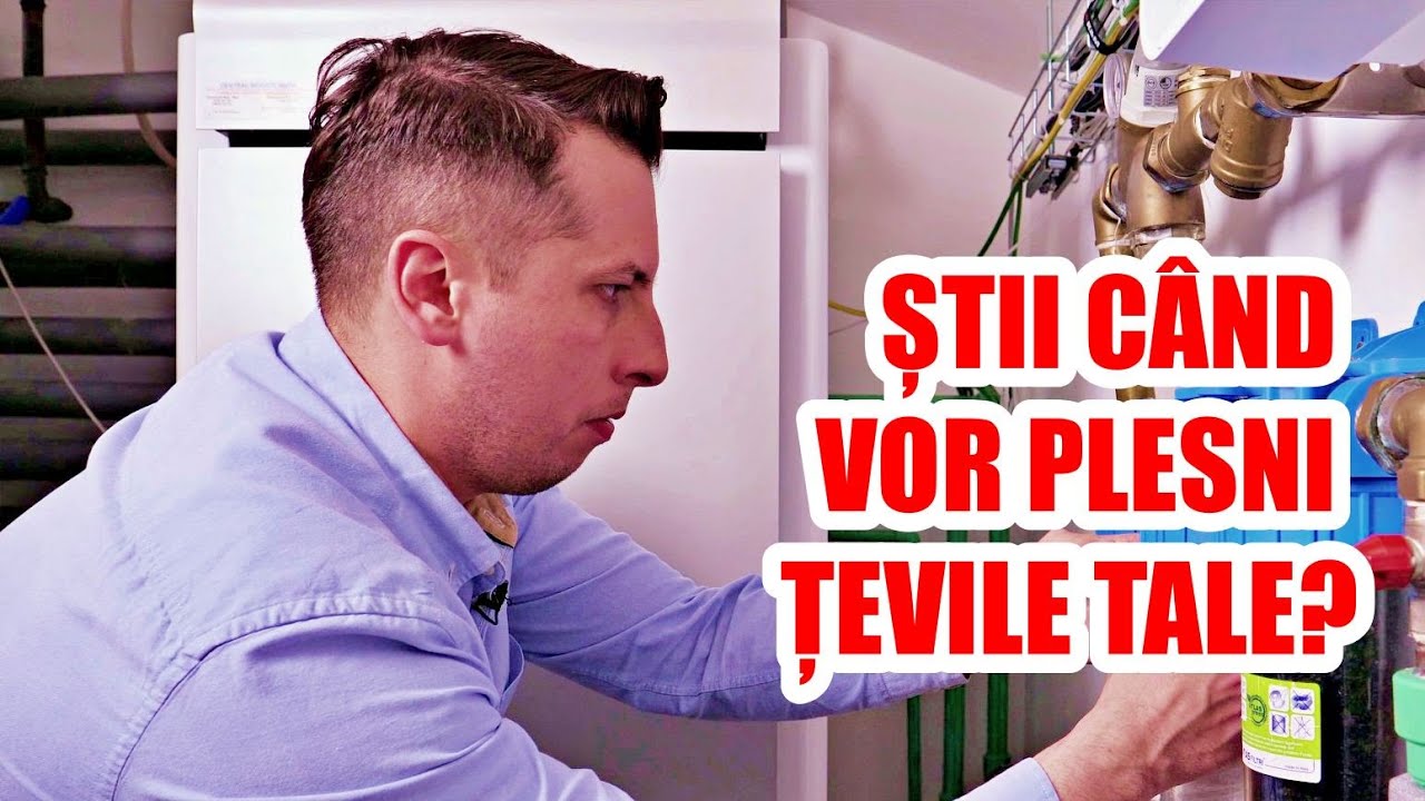 ȘTII CÂND VOR PLESNI ȚEVILE TALE? - CASEBUNE.RO