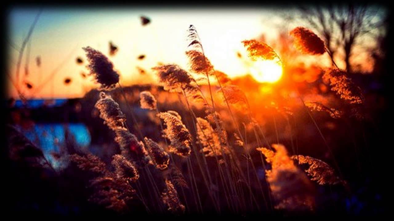 ليكن هذا حالك في رمضان..د/عبدالمحسن الأحمد