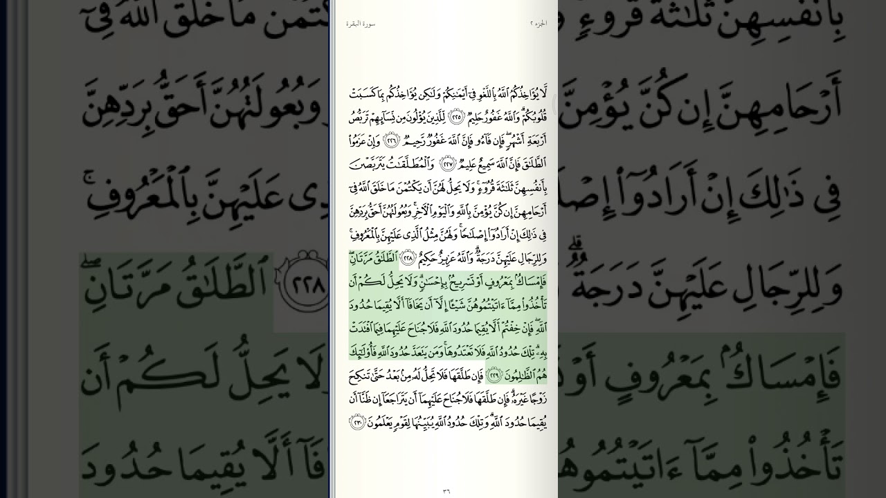 سورة البقرة - من الآية 219 حتى الآية 232