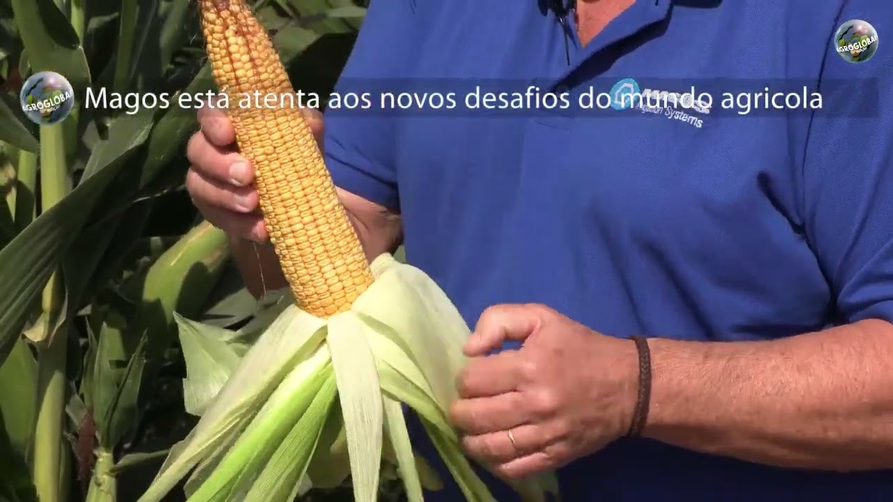 Magos na Agroglobal 25