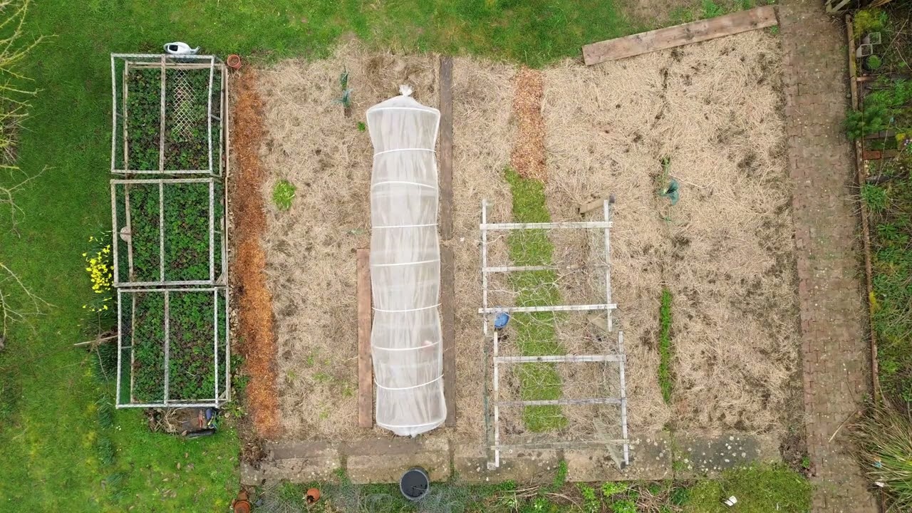 potager 2024