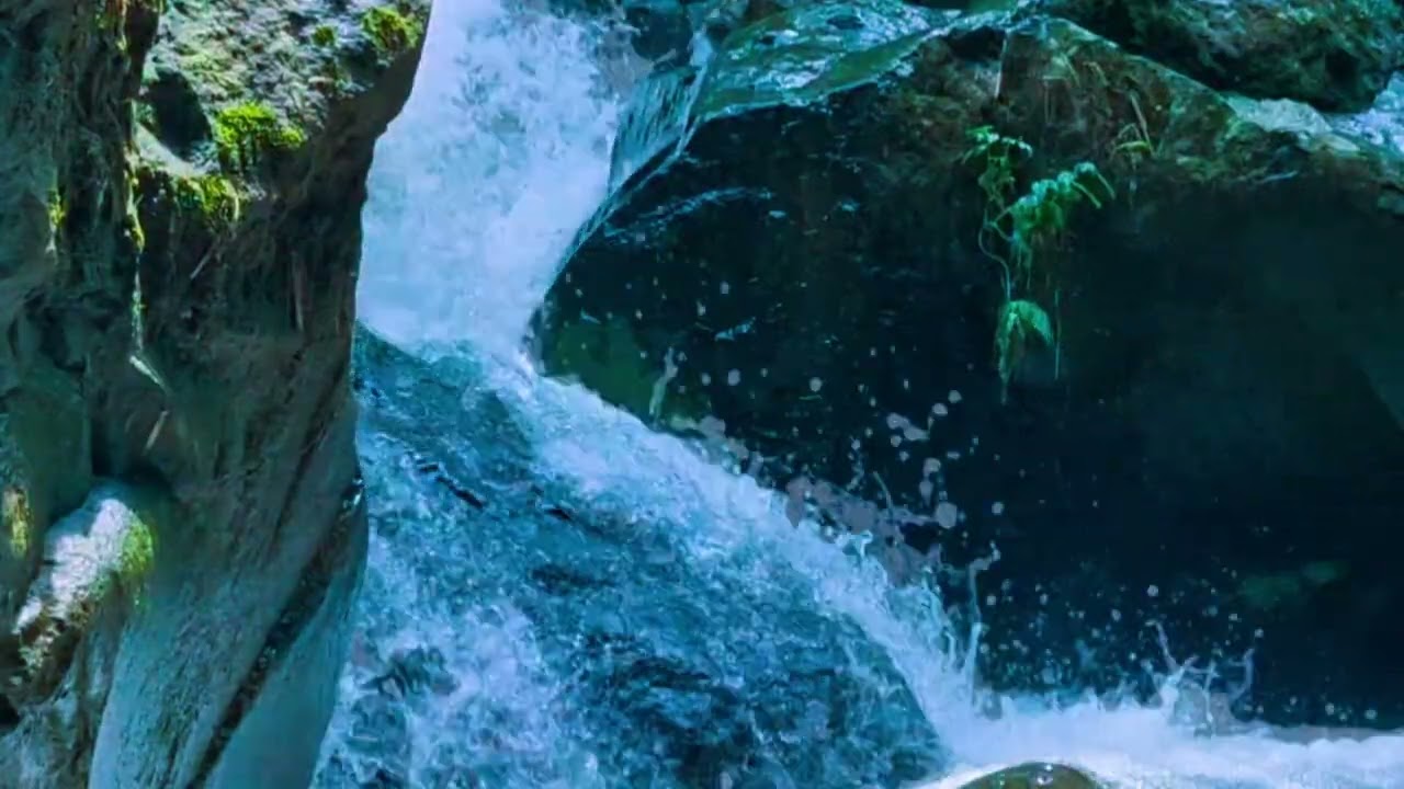 Nature White Noise | River Sounds with Birds