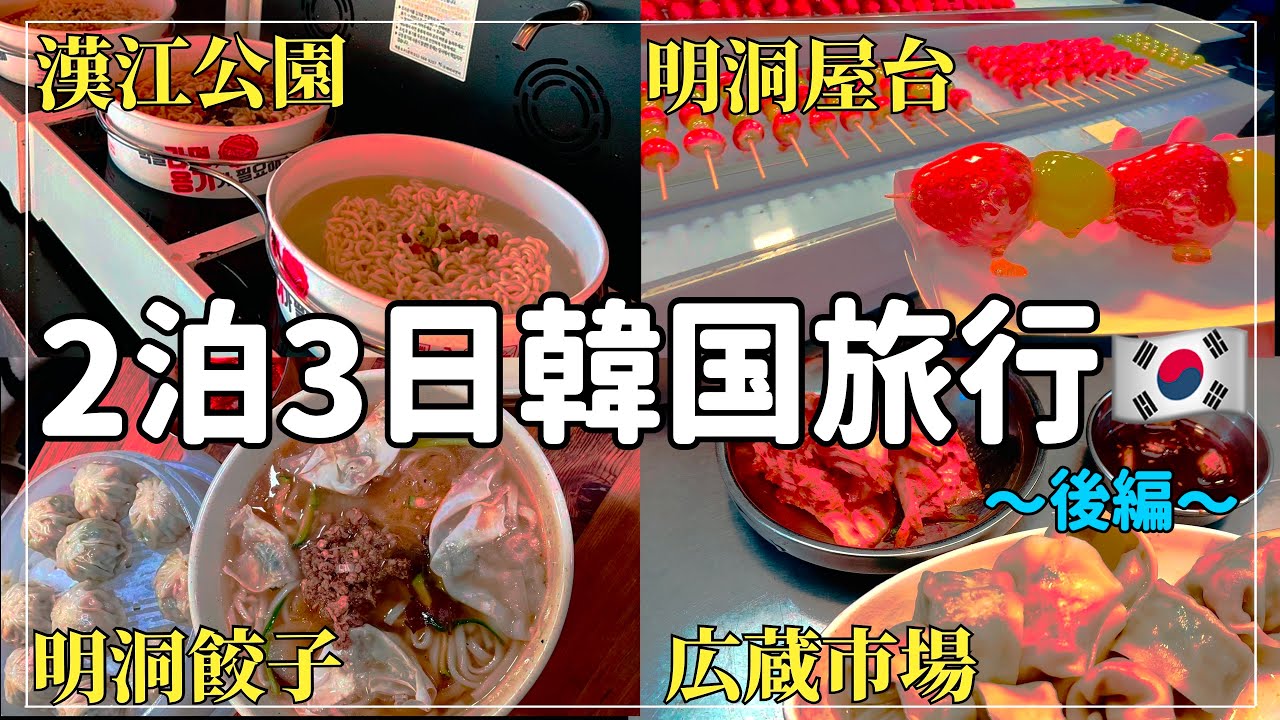 【韓国/ソウル 明洞 漢江】旅行最終日まで韓国グルメを食べ尽くす🇰🇷【韓国vlog】