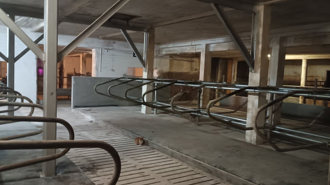 Obora jest już gotowa!