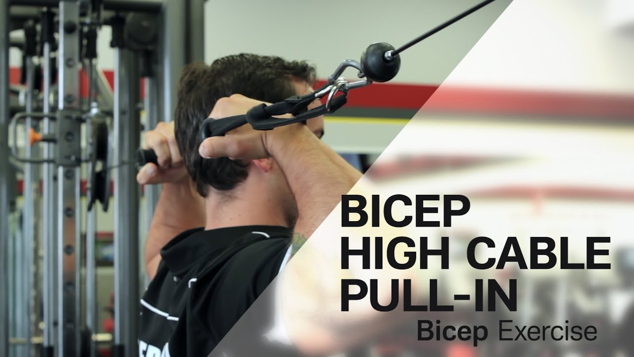 Bicep High Cable Pull In