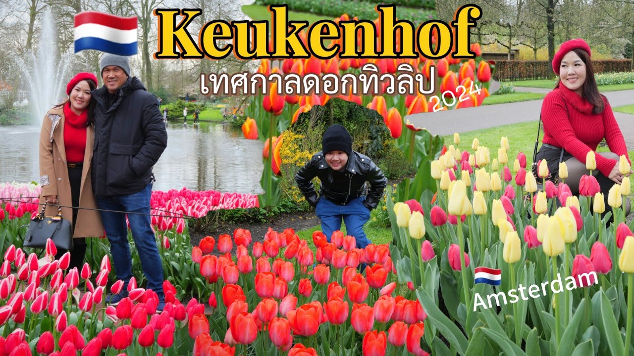 Keukenhof, Netherlands 🇳🇱พาเที่ยว ชมดอก 🌷Tulipปีที่ครบรอบ75ปี| #Amsterdam #netherlands #FamGo365 