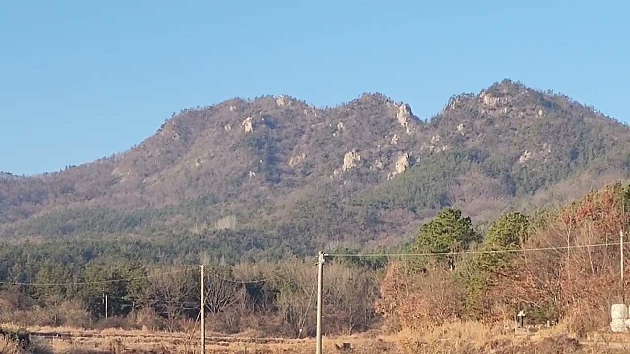 [생존학교] 동네산의 추억 l 등산로 벗어나면 죽을 수 있는 산이 동네산