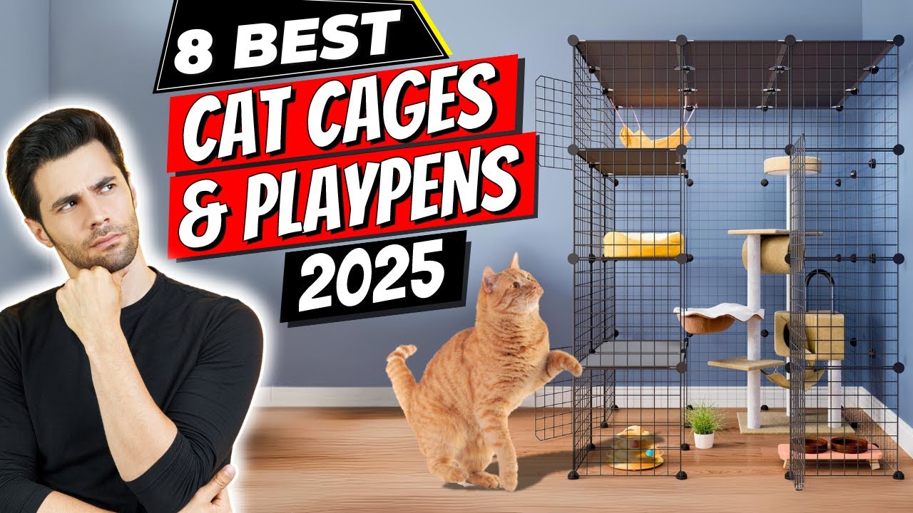 Best Cat Cages & Playpens of 2025 | What's the Best Cat Cage for Your Furry Friend in 2025?
