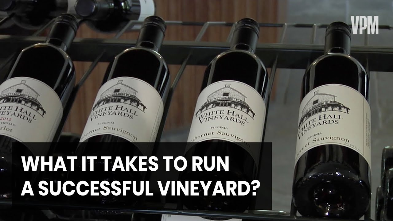 How to Create Wine in Virginia’s wineries
