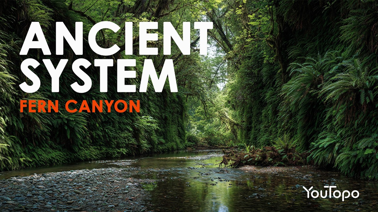 Fern Canyon & Trillium Falls | Ancient Ferns, Redwoods & Forest Wildlife