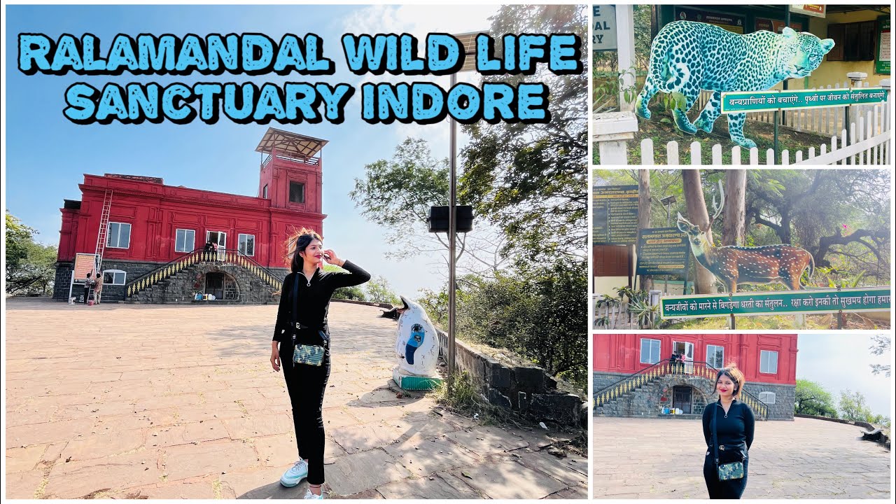 Most satisfying place in indore || Ralamandal wild life sanctuary Indore Madhya Pradesh
