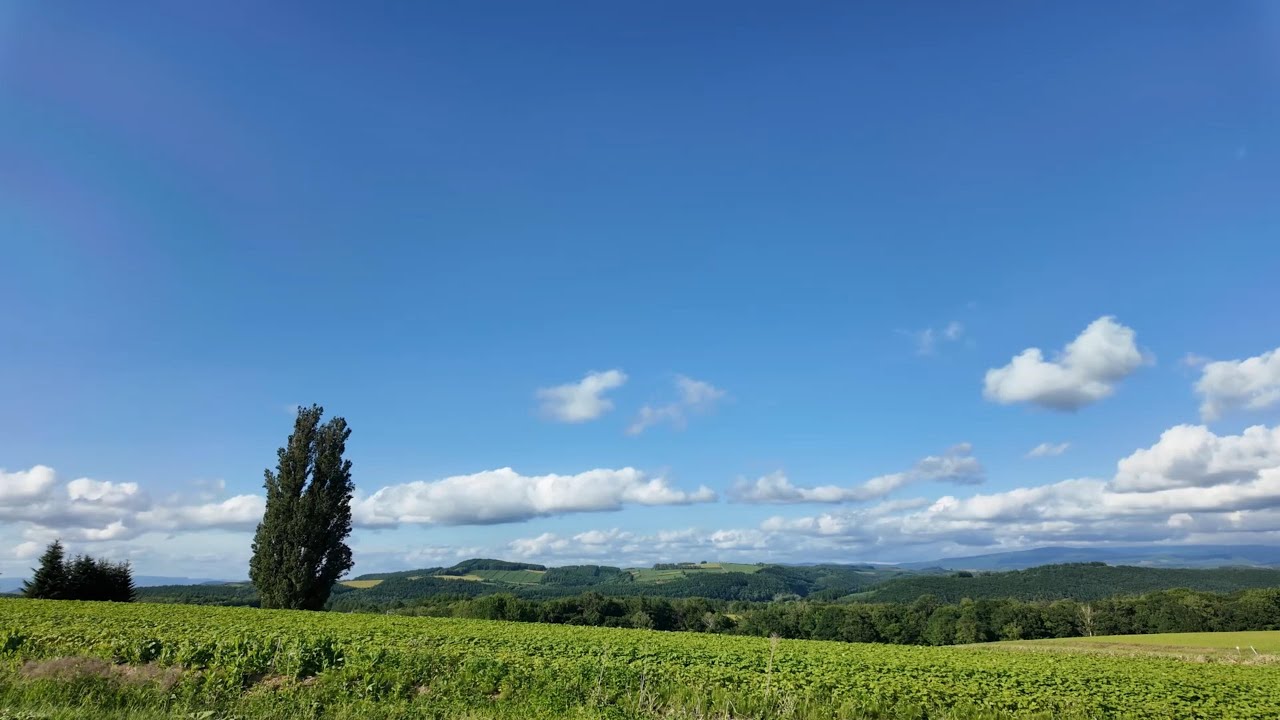 Exploring the Scenic Hills of Biei: Iconic Viewpoints and Stunning Landscapes