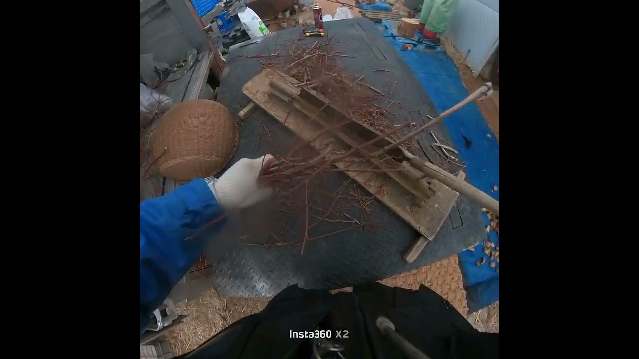 8 ㅡㅡ꼼지락농원일기