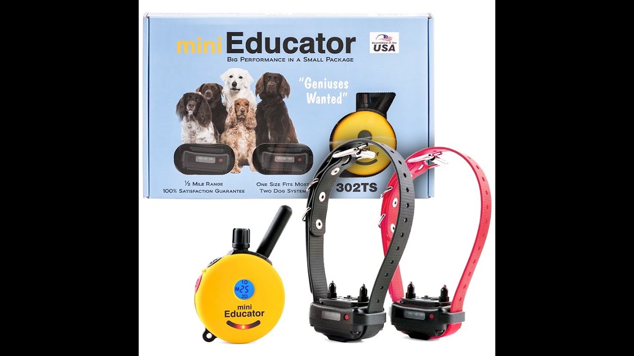 2- Dog System Mini Educator Ecollar Technologies 302