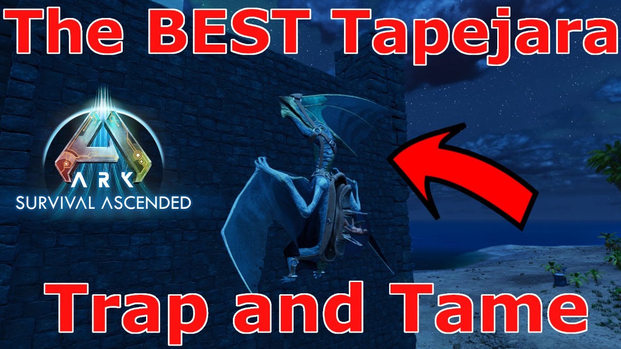 Ark Survival Ascended Tapejara Taming, Ark Как приручить Tapejara, Ark Tapejara Trap