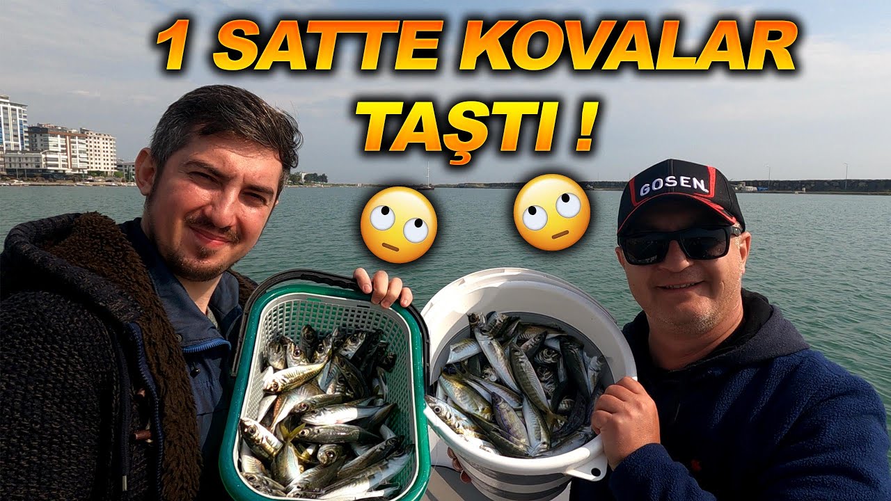BALIK TUTMAKTAN YORULDUK ! BALIK BULUCU İLE İSTAVRİT AVI - SAMSUN İSTAVRİT AVI - DENİZDE DOSTLARLA