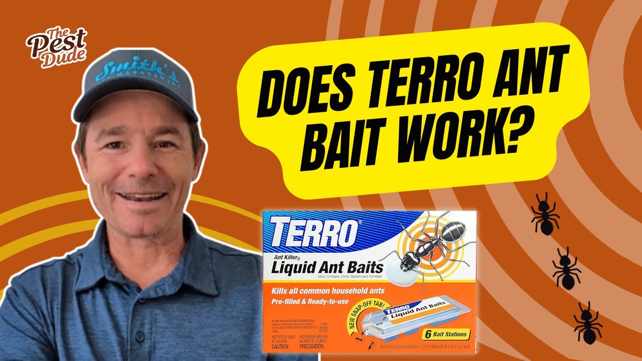 Does Terro Ant Bait Work?