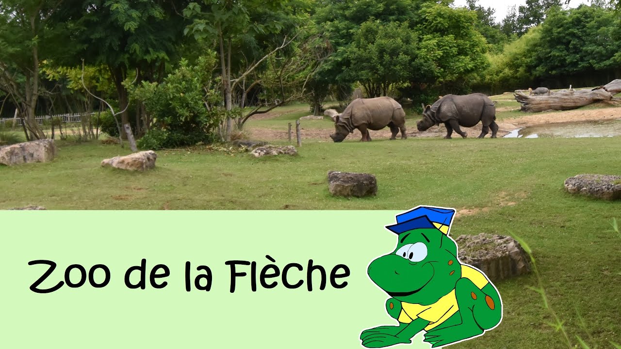 Zoo de la Flèche, 2022