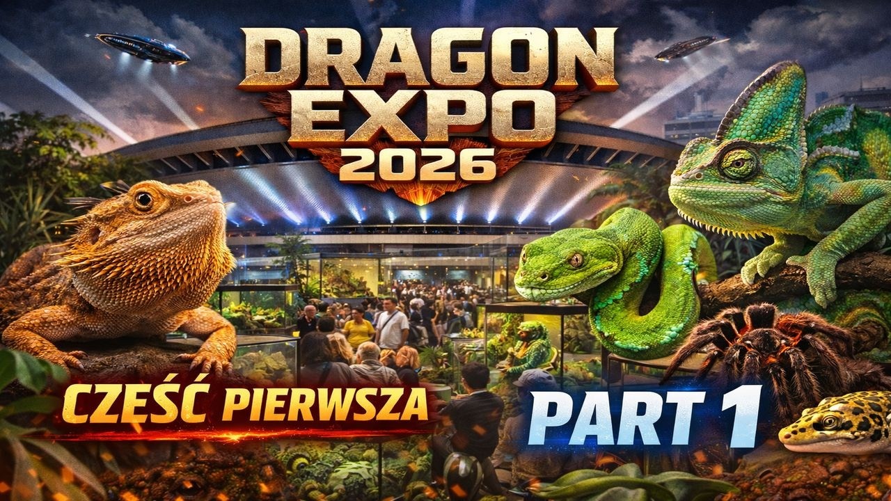 Targi terrarystyczne Dragon Expo 2026 Spodek