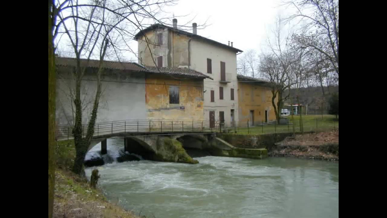 Navile 2002