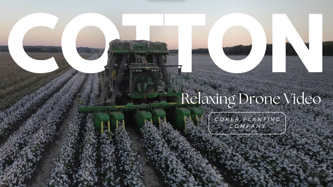 John Deere CP690 picking cotton in the Mississippi Delta
